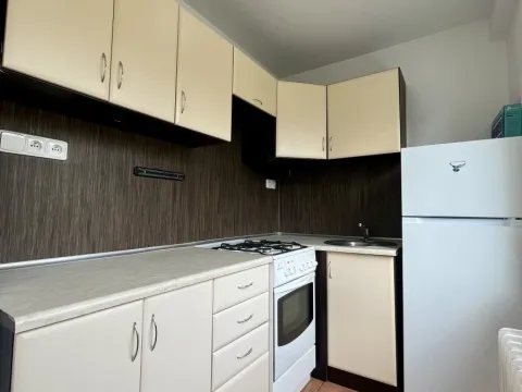 Pronájem bytu 1+1, Ostrava - Poruba, Polská, 30 m2