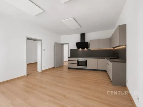 Pronájem bytu 2+kk, Plzeň, okres plzeň-město, Radyňská, 54 m2