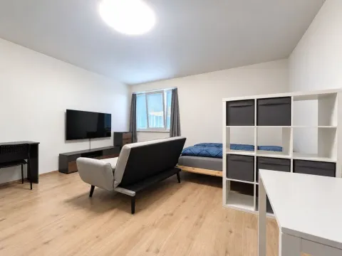 Pronájem bytu 1+kk, Kročehlavy, Jaroslava Holečka, 35 m2