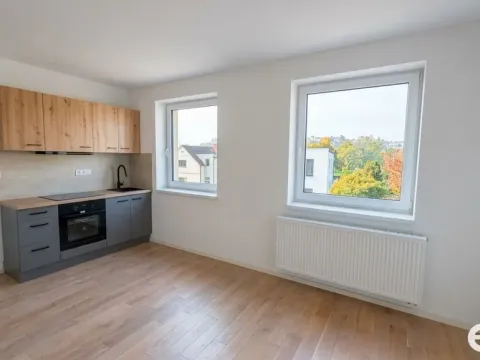 Pronájem bytu 2+kk, Benátky nad Jizerou, Pražská, 45 m2