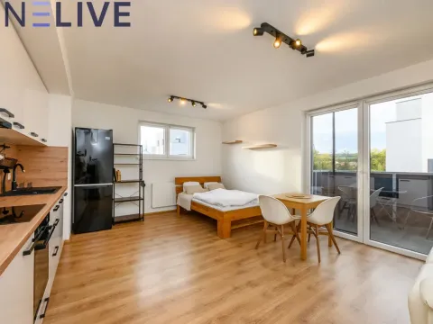 Prodej bytu 1+kk, Heřmanova Huť, U Pondu, 35 m2