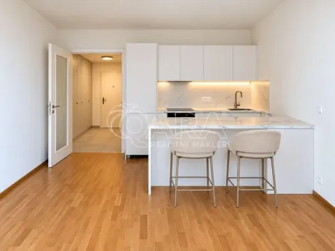 Pronájem bytu 1+kk, Praha - Karlín, Švarcova, 36 m2