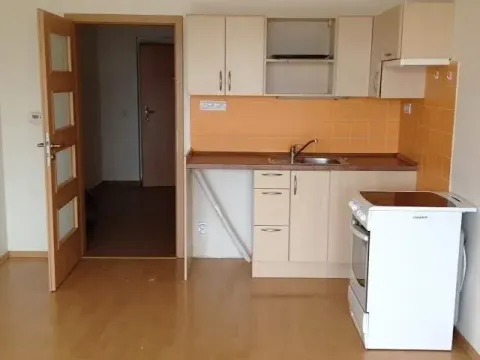 Pronájem bytu 1+kk, Olomouc, Peškova, 30 m2