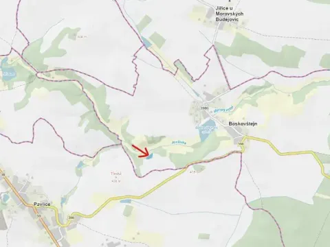 Prodej lesa, Boskovštejn, 2506 m2