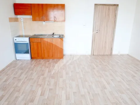 Pronájem bytu 1+kk, Plzeň, Toužimská, 31 m2