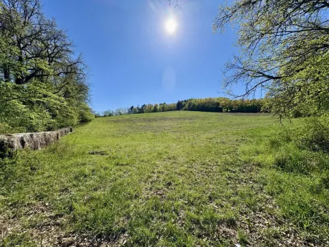 Prodej pole, Úštěk, 30951 m2