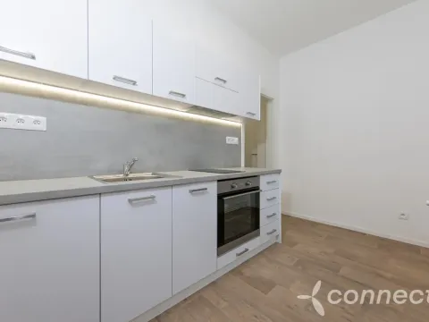 Pronájem bytu 1+1, Přerov - Přerov I-Město, Husova, 26 m2