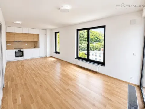 Pronájem bytu 2+kk, Praha - Karlín, Švarcova, 55 m2