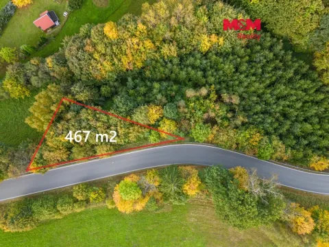 Prodej lesa, Kosov, 467 m2