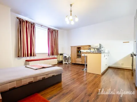 Pronájem bytu 1+kk, Praha - Žižkov, Viklefova, 38 m2