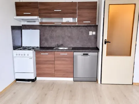 Pronájem bytu 1+1, Děčín - Děčín I-Děčín, Labská, 37 m2