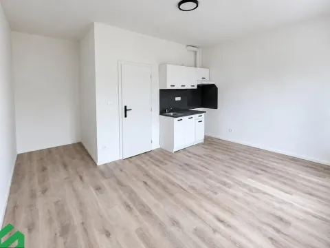 Pronájem bytu 1+kk, Praha - Libeň, Na Truhlářce, 27 m2