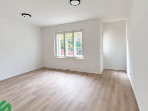 Pronájem bytu 1+kk, Praha - Libeň, Na Truhlářce, 30 m2