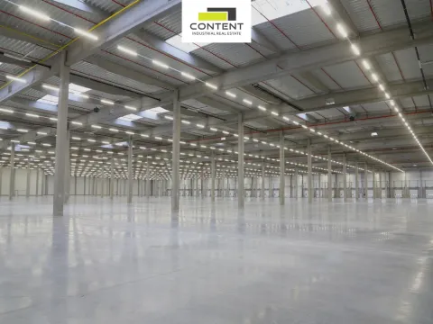 Pronájem výrobních prostor, Hladké Životice, Kujavská, 29000 m2