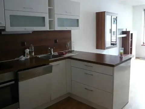 Prodej bytu 2+kk, Brno - Štýřice, Vinohrady, 55 m2