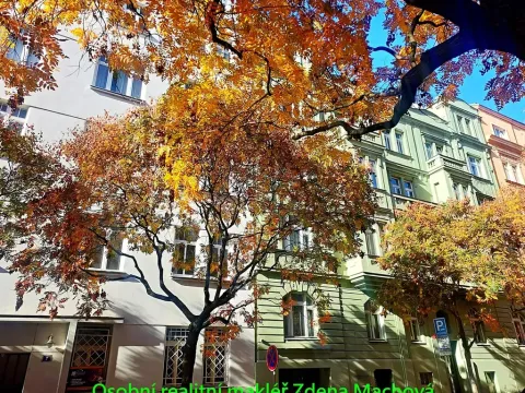 Pronájem bytu 2+kk, Praha - Vinohrady, U Kanálky, 45 m2