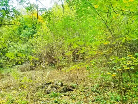 Prodej pozemku pro bydlení, Jílové u Prahy, 881 m2