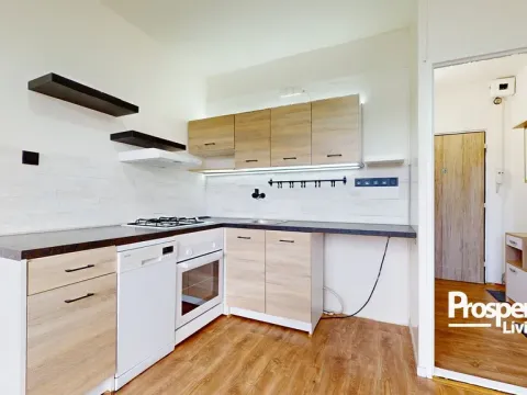 Prodej bytu 1+1, Ústí nad Labem - Střekov, Truhlářova, 37 m2