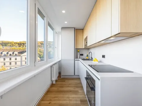 Prodej bytu 3+kk, Praha - Karlín, Nekvasilova, 57 m2