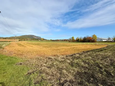 Prodej pozemku pro bydlení, Chotiměř, 9663 m2