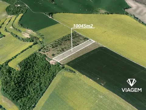 Prodej podílu zahrady, Čejkovice, 5022 m2